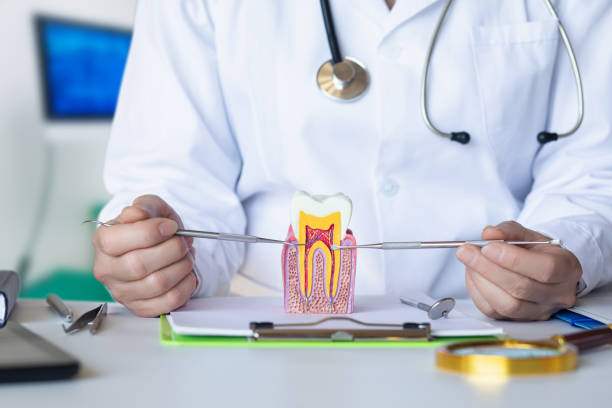 Best Same-Day Emergency Dental Services in Syracuse, NE